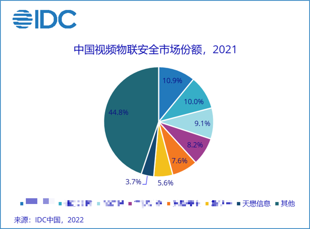 天懋信息中国视频物联完全市场份额，2021.png